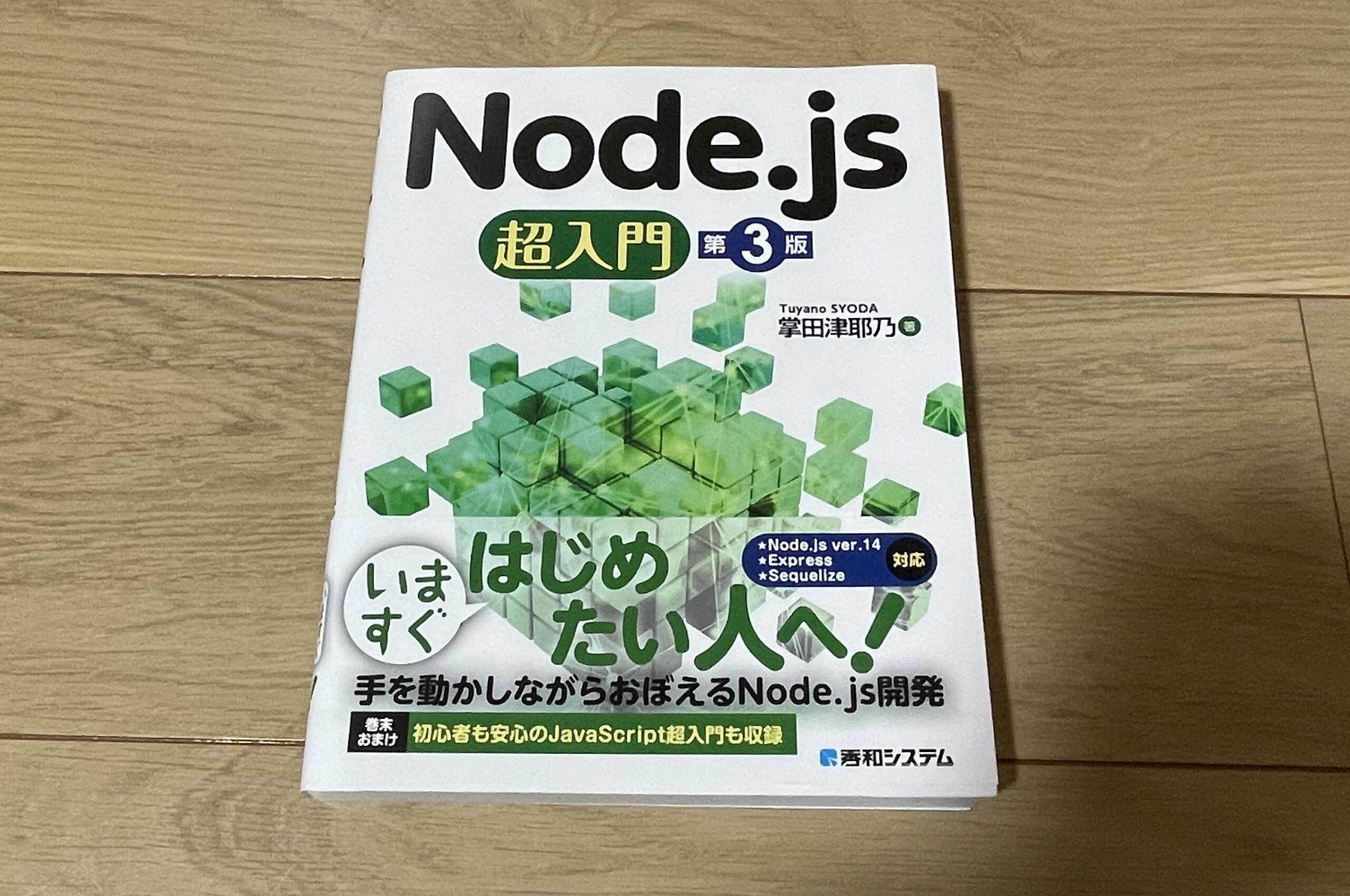 Node.js 超入門 | にーまるろく あーるしー どっと ねっと